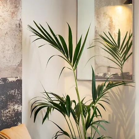 Rovira - One Bedroom In Penedes 公寓 *